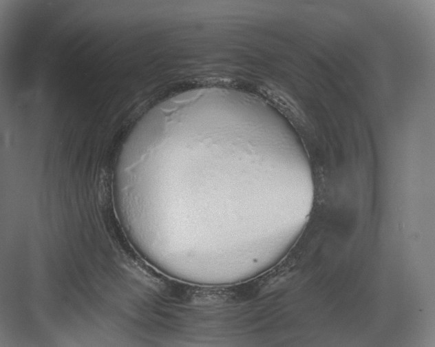 X0000082690077200702161735