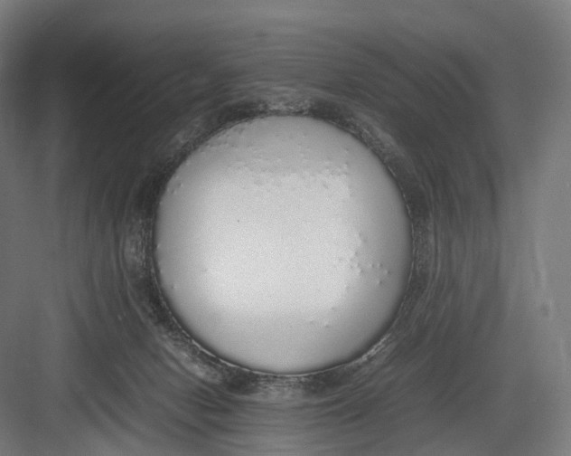 X0000082690078200702161735