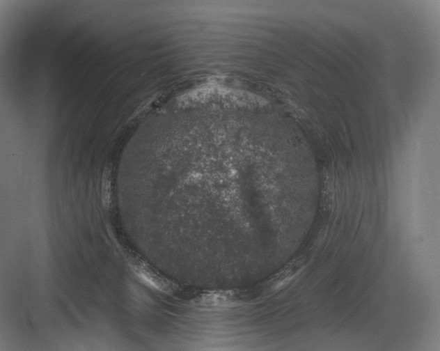 X0000082690080200702161735