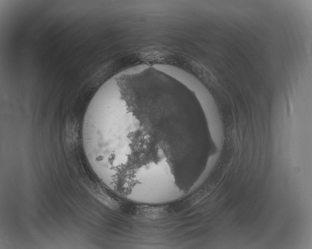 X0000082690081200702161735