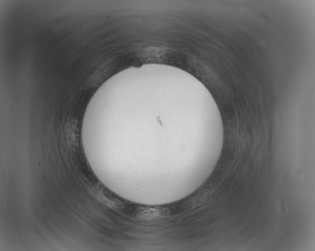 X0000082690083200702161735