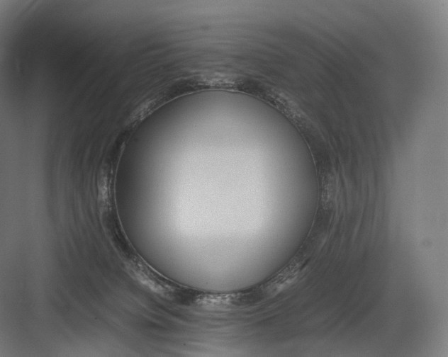 X0000082690084200702161735