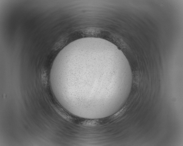 X0000082690086200702161735