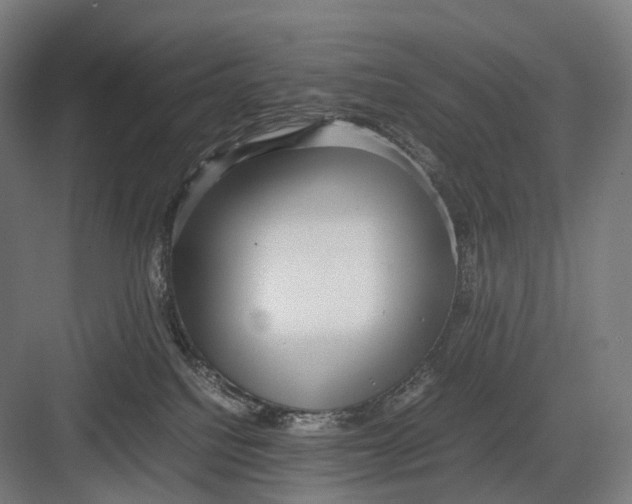 X0000082690088200702161735