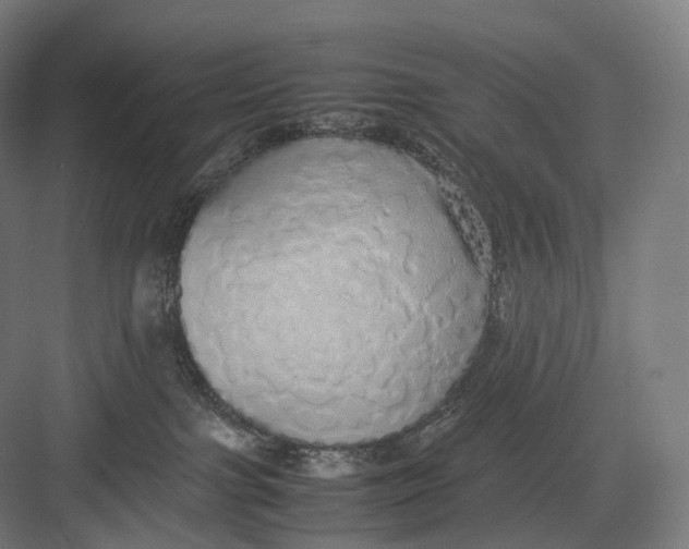 X0000082690091200702161735