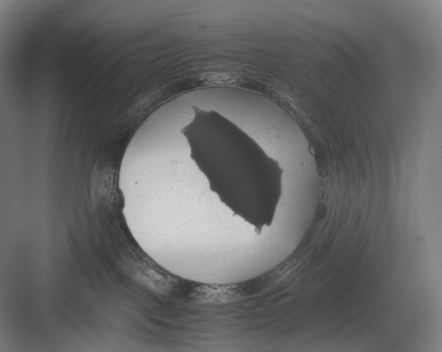 X0000082690093200702161735