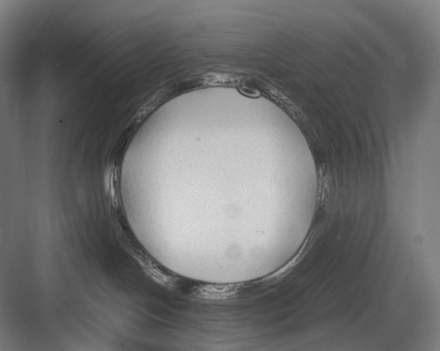 X0000082690094200702161735