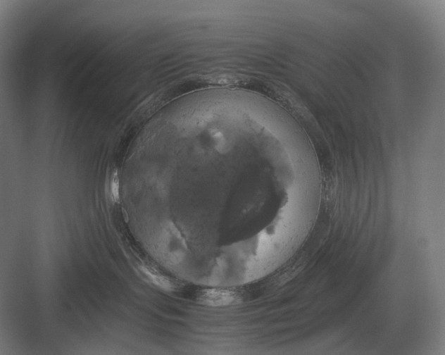 X0000082690095200702161735