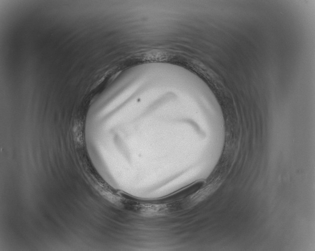 X0000082690096200702161735