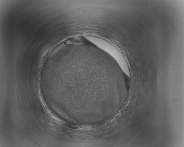 X0000082690097200702161734