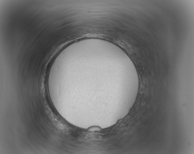 X0000082690098200702161734