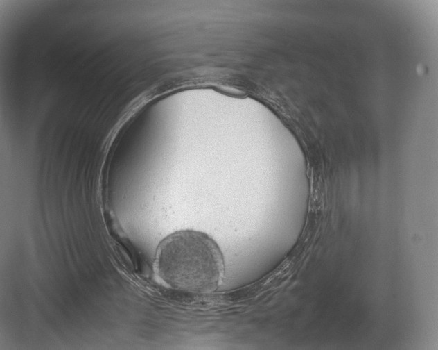 X0000082690099200702161734