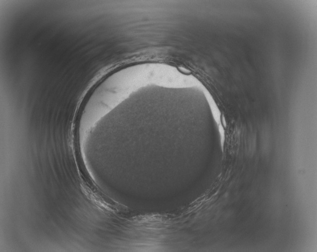 X0000082690100200702161734