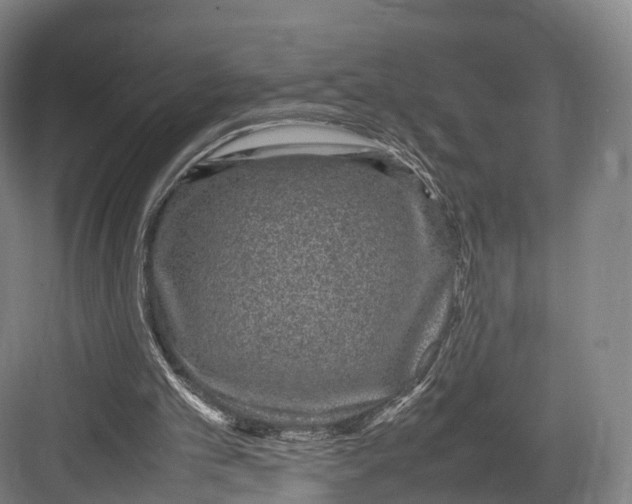 X0000082690101200702161734