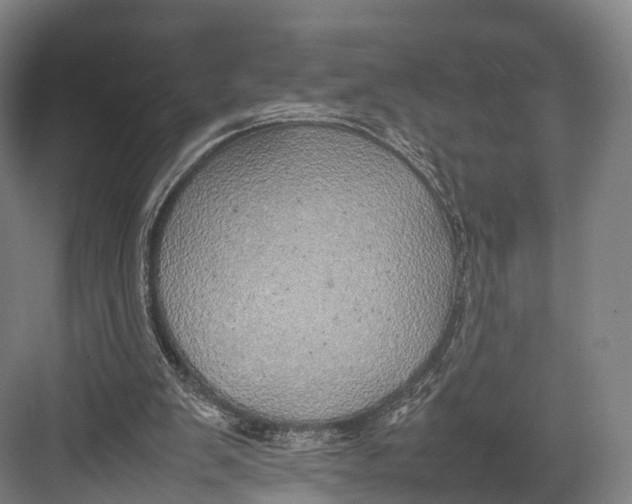 X0000082690103200702161734