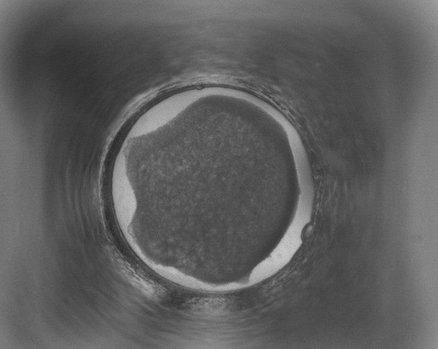 X0000082690104200702161734