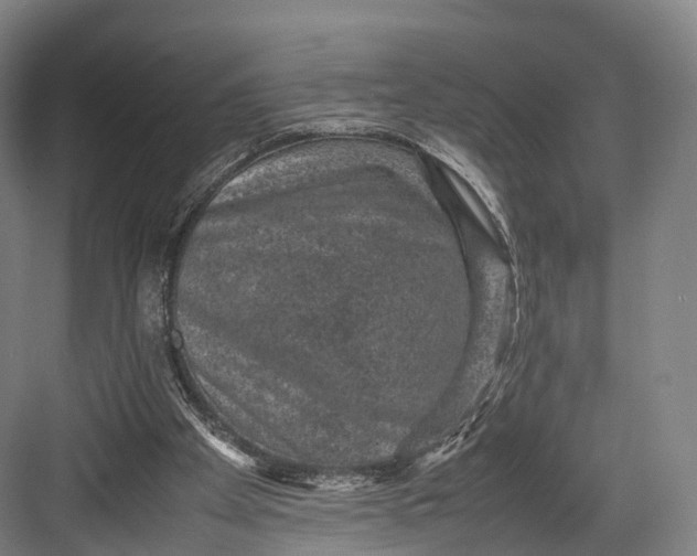 X0000082690105200702161734