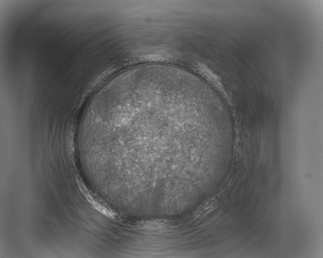 X0000082690106200702161734