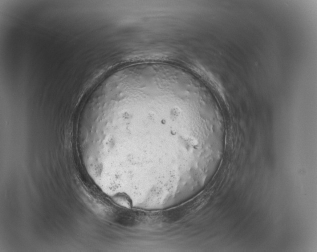 X0000082690107200702161734