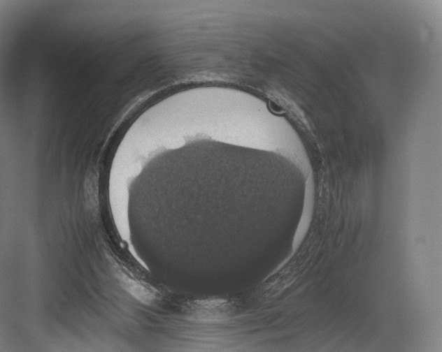 X0000082690108200702161734