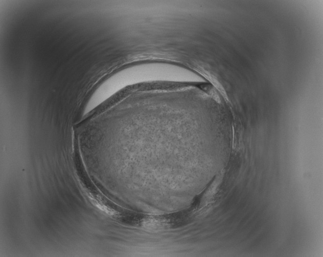 X0000082690109200702161734