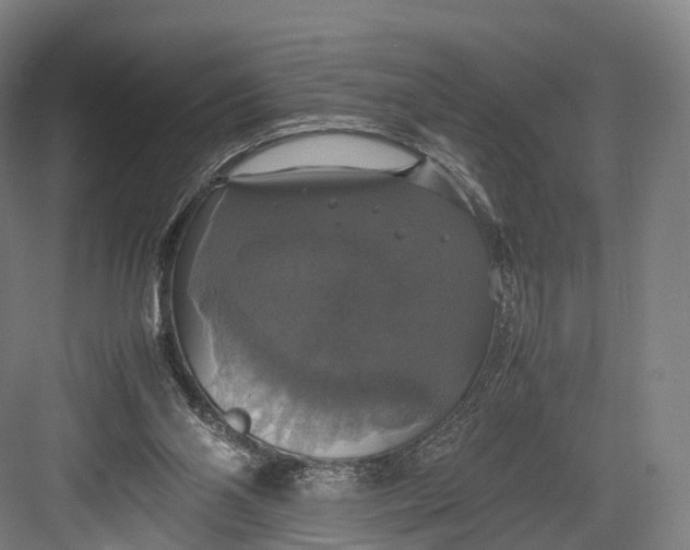 X0000082690110200702161734