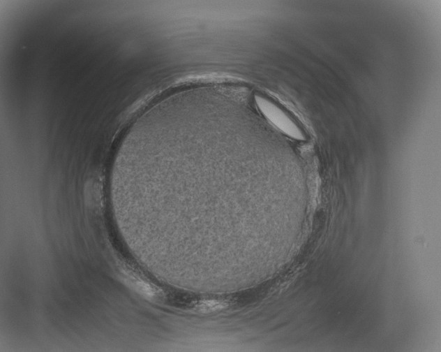 X0000082690111200702161734