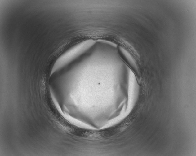 X0000082690113200702161734