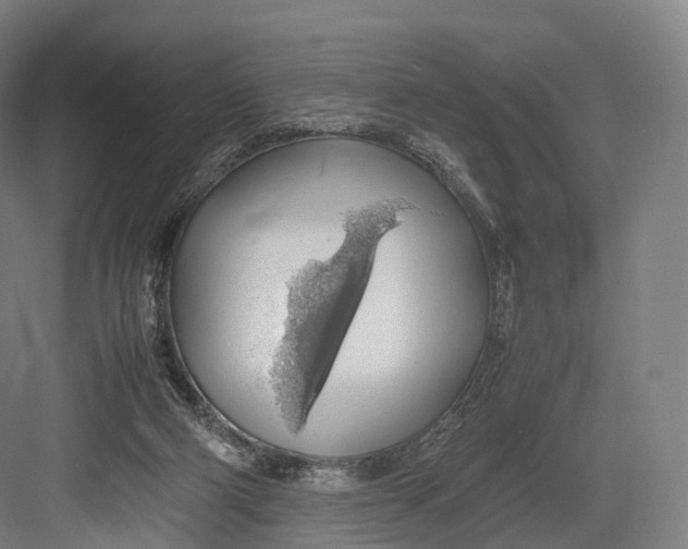 X0000082690114200702161734