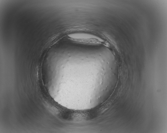 X0000082690115200702161734