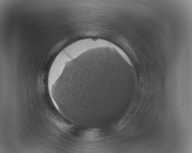 X0000082690116200702161734