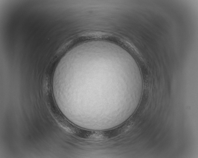 X0000082690119200702161734