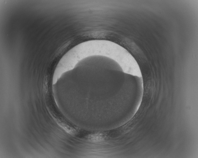 X0000082690120200702161734