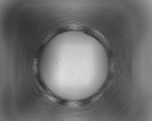 X0000082690121200702161734