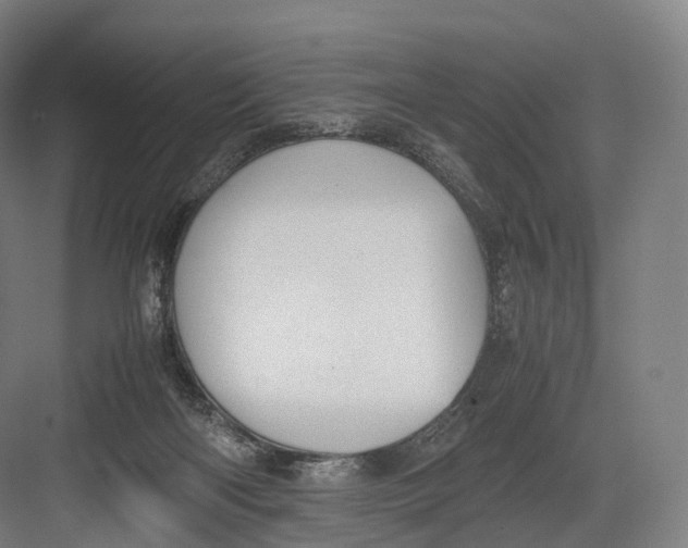 X0000082690122200702161734