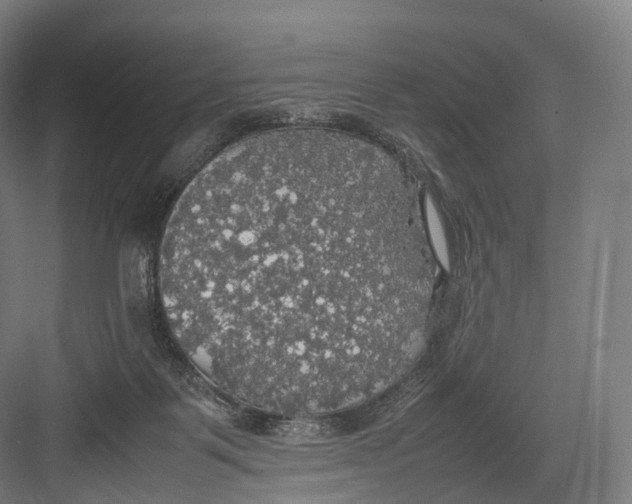 X0000082690123200702161734