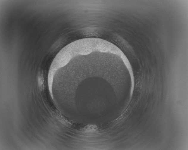 X0000082690124200702161734