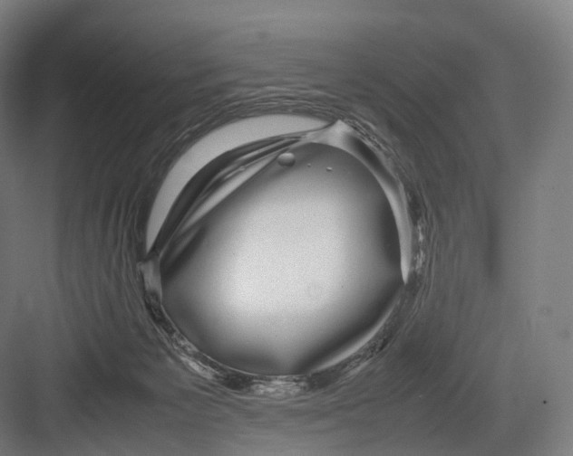 X0000082690125200702161734