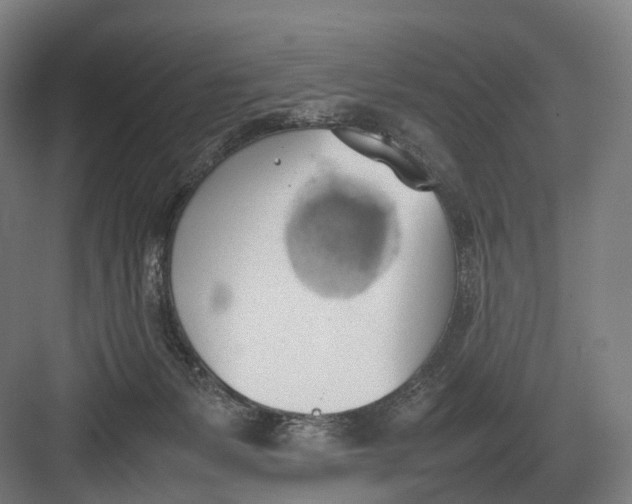 X0000082690127200702161734