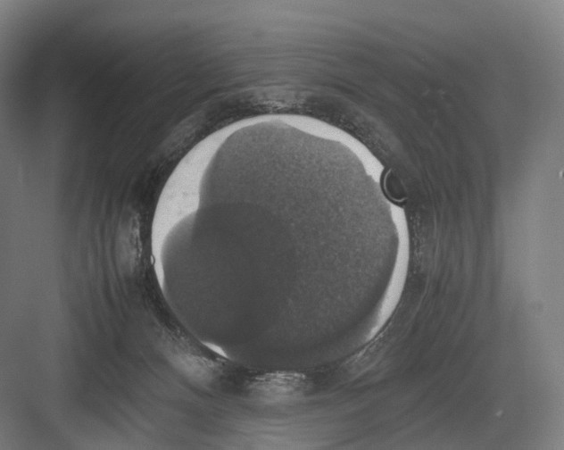 X0000082690128200702161734