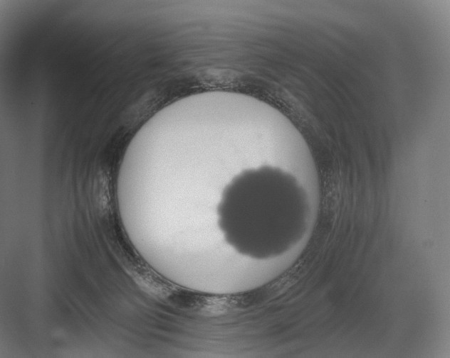 X0000082690130200702161734