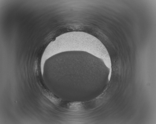 X0000082690132200702161734