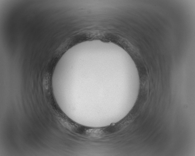 X0000082690133200702161734