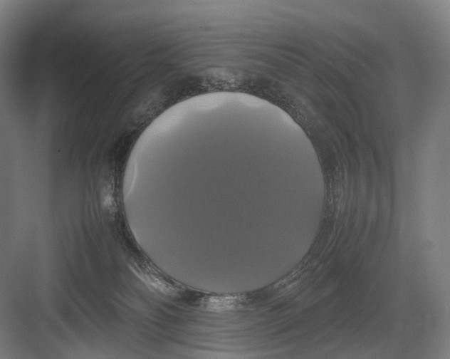 X0000082690134200702161734