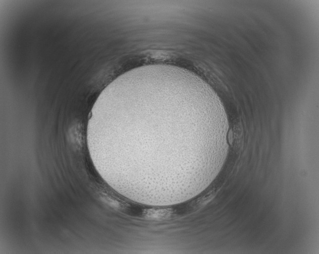 X0000082690135200702161734