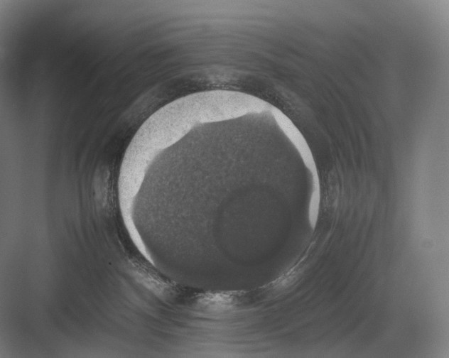 X0000082690140200702161734