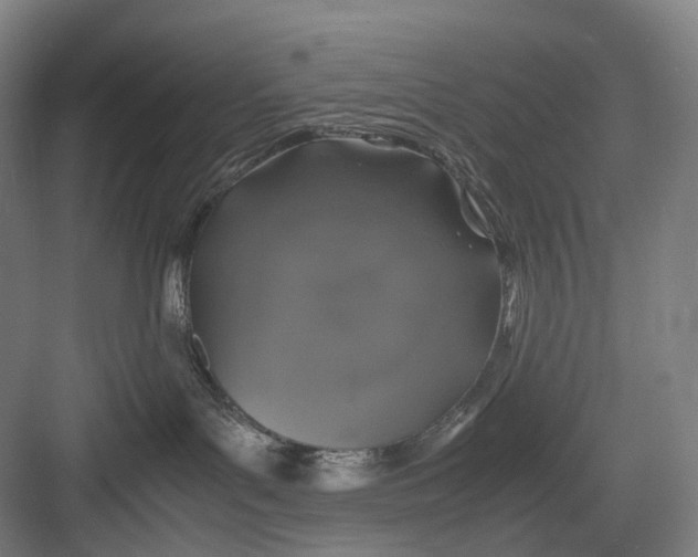 X0000082690143200702161734