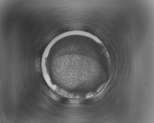 X0000082690144200702161734