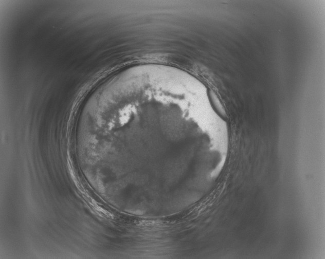 X0000082690145200702161733