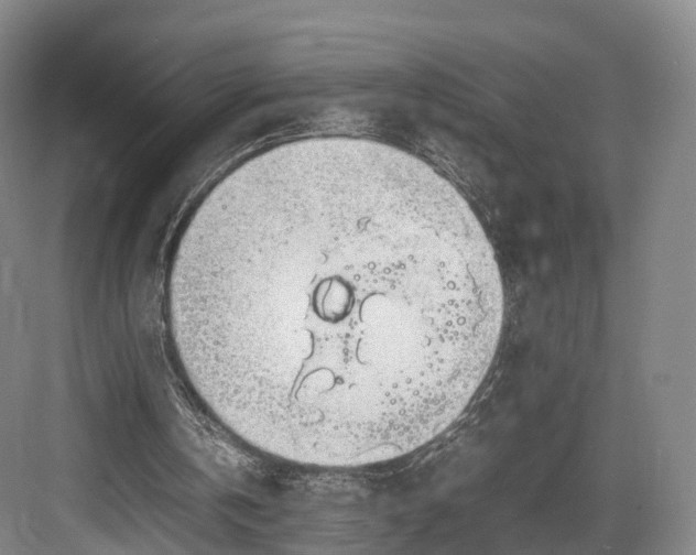 X0000082690146200702161733